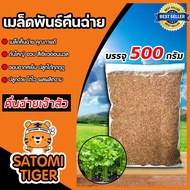 เมล็ดคื่นฉ่าย (เจ้าสัว) หนัก 500กรัม เมล็ดพันธุ์คื่นฉ่าย เมล็ดพันธุ์ผัก เมล็ดสมบรูณ์ โตง่าย โตเร็ว ผ