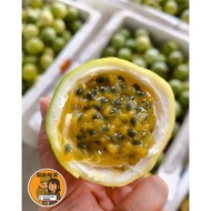 1KG@RM15.90 Fresh Panama Golden Passion Fruit l Markisa Emas Panama l 巴拿马黄金百香果