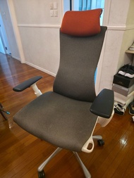 Herman Miller Embody Chair with Atlas Headrest