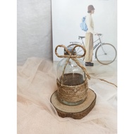 Glass vase, scandinavian vase, rustic vase, aesthetic vase, flower vase, nordic vase, minimalist vas