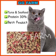 Makanan kucing Dry cat food Makanan Kucing Murah Kucing gebu Vitamin Kucing makanan kucing seafood more more please