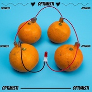 OPTIMISTIVF Fruit Battery Science Experiment Kit, Potato Powered Bio Energy Electricity Experiments 