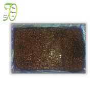 ลูกเกดดำ 10 กก. ลูกเกดสีดำ พร้อมทาน Black Raisins 10 kg เกรด AA+ สินค้านำเข้า คุณภาพดี สดใหม่ ไม่หืน