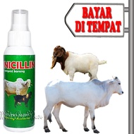 OBAT KORENG SAPI BOROK KERBAU JAMUR KAMBING GUDIX PINICILLIN SPRAY
