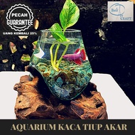 (READY STOCK )AKUARIUM IKAN CUPANG/ KACA TIUP DAN AKAR BALI / AQUASCAPE / AQUARIUM UNIK GLASSWOOD /