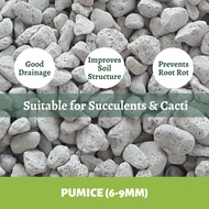 Volcanic Pumice Stone for Plants 6-9mm (1L/3L/6L) | Potting Medium for Terrariums, Succulents & Cact