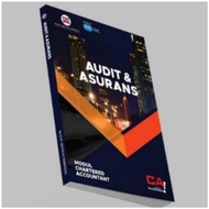 Audit & Insurance