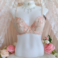 Japan Bra Size : D75 Japanese NWT