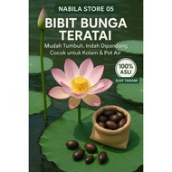 TRISAKA SEEDS - Lotus Flower SEEDS Lotus Water Lotus Lotus Flower 25 SEEDS Fast Growth for Pots