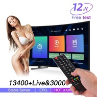 Smart TV accessories/remote control support Europe, Asia, Africa, M3U full channel