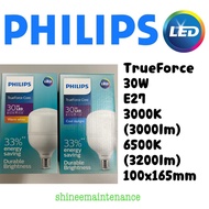 (2pc bundle!) Philips TrueForce Highbay LED Bulb E27 30W Daylight 6500K / Warm white 3000K