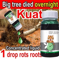 【Rumpai dibunuh pada waktu pagi dan petang】2 Drops kills tree roots Tree killer400ML Racunpokok kayu