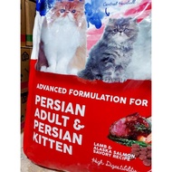 Murah Meriah Makanan Anak Kucing Dan Kucing Dewasa Beauty Persia Gold