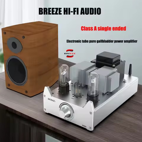 BREEZE 2025 Newly Upgraded A20B A20C Single End Class A Electronic Tube Pure Gallbladder Amplifier H