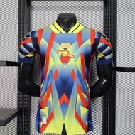 2025-26 Arsenal F.C.Special Edition Player Version Football Shirt - Personalized with Name & Number 