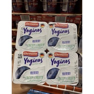 Ehrmann Yoginos Blueberry Yogurt 4x 100g