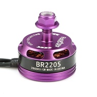 Racerstar Racing Edition 2205 BR2205 2600KV 2-4S Brushless Motor Purple