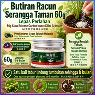Budget midacloprid racun serangga | Soil Insecticide Succulents & Flowers | Systemic Mealybugs & Fun
