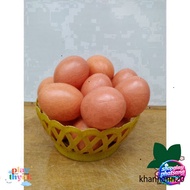 Duck Proof Fake Eggs + 2 Creative Farm Chicken Eggs