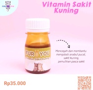 Vitamin kucing sakit kuning