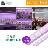 [瑞光植物燈]全光譜植物燈PRO T8T20 多肉 塊根 龍舌蘭 觀葉 鹿角蕨 上色防徒 燈管