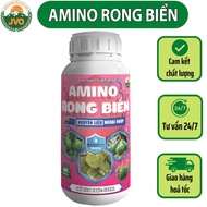 Phân AMINO RONG BIỂN Chai 500ml Cây Khỏe - Mát Cây - Mập Đọt - Xanh Lá Tốt Trái JVO97 NongNghiepViet