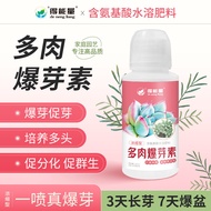 Succulent Burst Pot Succulent Plant Group Nutritious Care Slow-Release Fertilizer Household Promote 