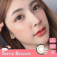 คอนแทคเลนส์ แฟชั่น สายตาปกติ 0.00 terra pony oh soul EDM Dreamma ชนิดนิ่ม รายเดือน