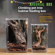 NAILSDECOR 1Pcs Reptile Feeding Box, Acrylic Anti-Escape Ecological Desert Landscaping Box, Breathab