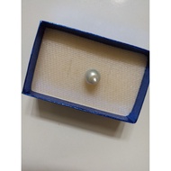 Mutiara Air Laut Asli Kepulauan Maluku