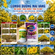 Yellow apricot fertilizer, yellow apricot fertilizer, yellow apricot stimulant combo TOTT Yellow apr
