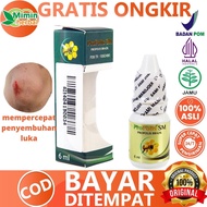 Sm Herbal Propolis To Accelerate Natural Wound Healing No Side Effects BPOM Indonesia