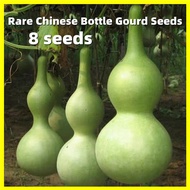 Rare Chinese Bottle Gourd Seeds เมล็ดพันธุ์ น้ำเต้าเซียน - 8เมล็ด คุณภาพดี ราคาถูก ของแท้ 100% Giant Bottle Gourd Plants Seeds for Planting Organic Vegetable Seeds Zucchini Seeds เมล็ดน้ำเต้า เมล็ดพันธุ์ น้ำเต้า เมล็ดพันธุ์ผัก บอนสีราคาถูกๆ บอนสี ต้นไม้