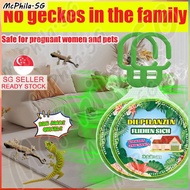 ⚡SG stock⚡Gecko repellent Plant extraction Lizard repellent Gecko killer Gecko trap Lizard trap box 