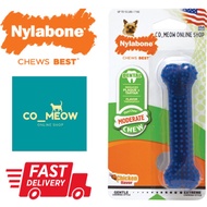 Nylabone NX934 Regular Dental Chew Bone (Suitable for dog up to 7kg)