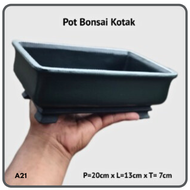Pot Bonsai Semen Tanaman Hias Small Persegi