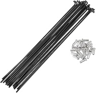 HEROFFIX Set of 20 13G Bicycle Spokes 197 mm Bicycle Spokes 304 Stainless Steel Black