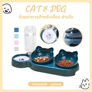 Plastic Bowl CAT And DOG Food 3 Holes Automatic Add Water For Pets PP Material High Quality