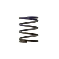 Turbosmart Wastegate Spring WG38/40/45/IWG 7PSI MIDDLE SPRING - BROWN/PURPLE TS-0505-2003