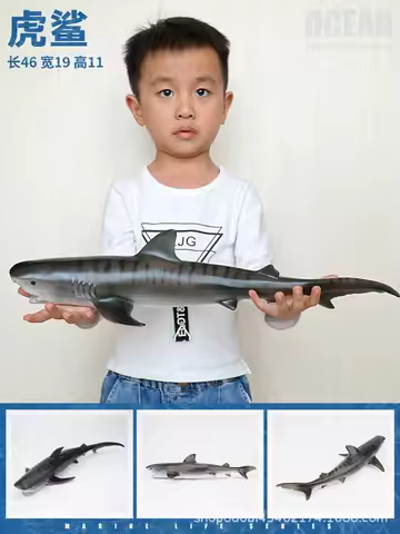 NEW Large size Sea Life Animal Whale shark sperm whale beluga dolphin Model Action Figures Kids Educ