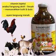 b sanplex injeksi vitamin b kompleks komplex 100ml untuk sapi kambing kelinci babi ayam mentok entog