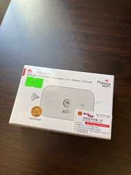 WiFi 蛋