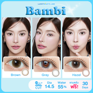 คอนแทคเลนส์ Bambi Brown / Hazel / Gray (Kitty Kawaii) ขนาดกลาง 🌷 รุ่นใหม่ ตาหวาน แบ๊ว เหมือนกวางน้อย
