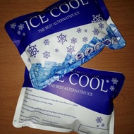 Large Ice Gel Ice Gel/ Ice CoolBIG