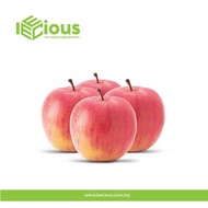 Fresh Red Apple Epal Merah 8pcs Fresh Fruits