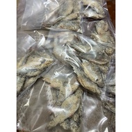 PEKASAM HOMEMADE/Pekasam Lampan Jawa/Pekasam ikan Sungai/Pekasam ikan Terbul