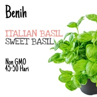 BENIH Italian Basil Genovese｜Sweet Basil Seeds 罗勒籽 种子