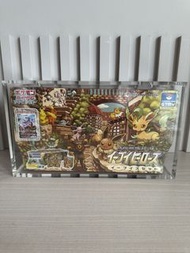 Pokémon 寶可夢 劍盾 伊貝英雄 收藏家套裝 pokemon eevee heroes gym box