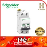 MCB circuit breaker 2P 6kA Acti9 series IC60N Schneider Electric - A9F74206 A9F74210 A9F74216 A9F742