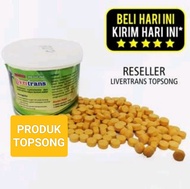 LIVERTRANS TOPSONG LIVER TRANS TOP SONG VITAMIN BURUNG MERPATI DARA